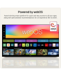 LG OLED42C66LB.AEK 42 inch 4K OLED Smart TV