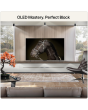 LG OLED42C66LB.AEK 42 inch 4K OLED Smart TV