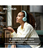 Sony WHCH530G.CE7 Wireless Over-Ear Headphones Mint Green
