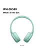Sony WHCH530G.CE7 Wireless Over-Ear Headphones Mint Green