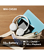Sony WHCH530L.CE7 Wireless Over-Ear Headphones Blue