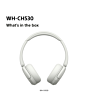 Sony WH-CH530W.CE7 Wireless Over Ear Headphones White