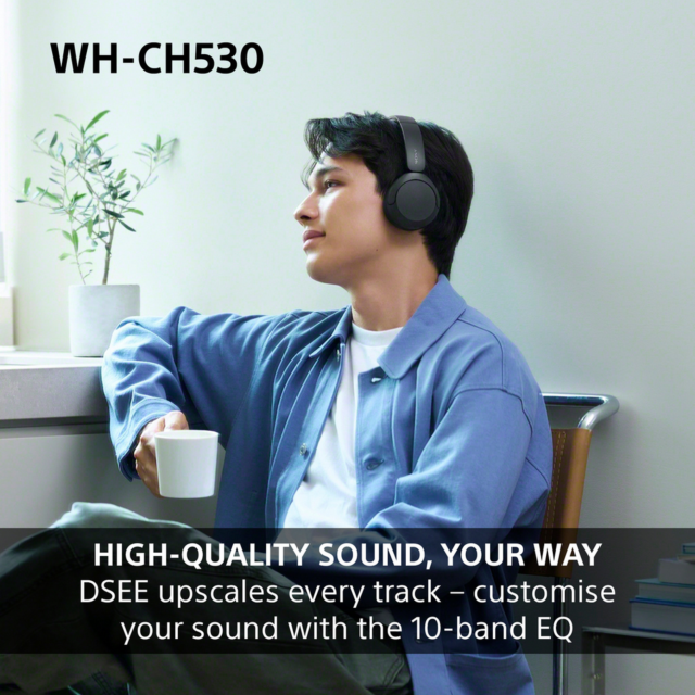Sony WHCH530L.CE7 Wireless Over-Ear Headphones Blue